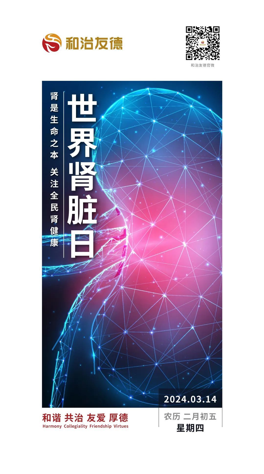 和治友德 | 世界肾脏日：肾是生命之本 关注全民