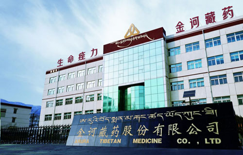 金诃藏药|聚势提效赴新程 笃行不怠启新篇