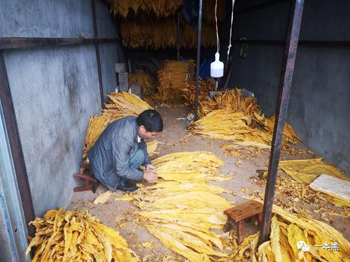 云霄县假烟内幕: 山寨货把正品吊起来打，云霄假