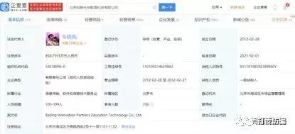 <b>北京创新伙伴教育科技有限公司因组织领导传销</b>