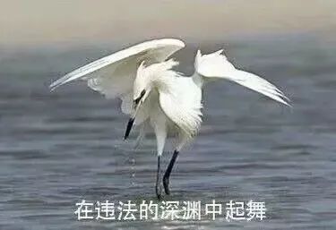 <b>为赌博网站做推广，这几个网站站长栽了！</b>