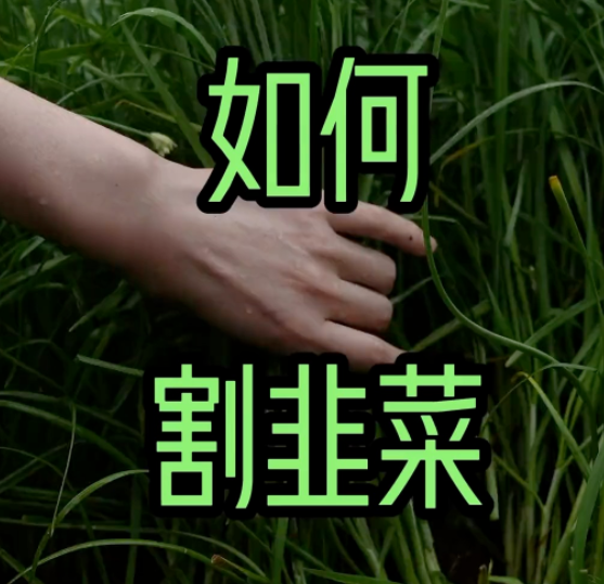 <b>资金盘骗局里面，单割是什么意思</b>