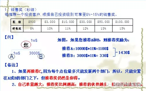 REC黄金树，崩盘大局已定，不是偶然，而是必然的功能！