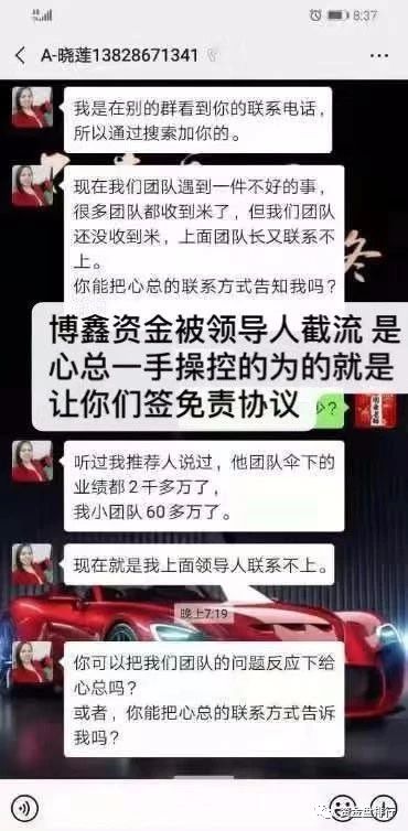  “博鑫洗码”操盘手曾操盘东方国际，，自导自演崩盘骗局即将上演！