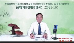 安惠陈惠走进菌物常识网络教室
