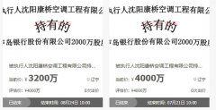  评级下调、不良率近14%的葫芦岛银行 股权屡遭拍卖却无人问津