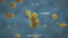 这支观念股再涨停后，人们开始好奇NMN毕竟是何方神圣？