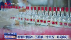 引领川酒振兴 五粮液“十四五”开局精采