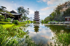 五粮液运营商、相助同伴和媒体旅行五粮液在建项目 点赞企业高质量成长成就