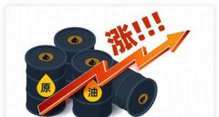 新能源汽车车险那边找，大地车险更靠谱