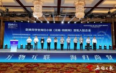  西欧同学会无锡物联网海归小镇揭牌