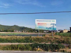 平安产险助力村子振兴要领论：用专业缔造代价