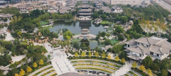 邯郸中元路泰：坑害沭阳花农的“花架”公司？！